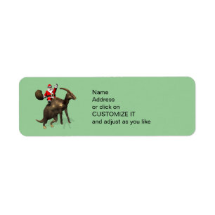 Santa Claus Riding On Parasaurolophus Return Address Label