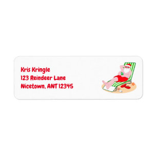 Santa Claus Takes a Beach Day Return Address Label