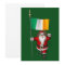 Santa Claus With Ensign Of Ireland