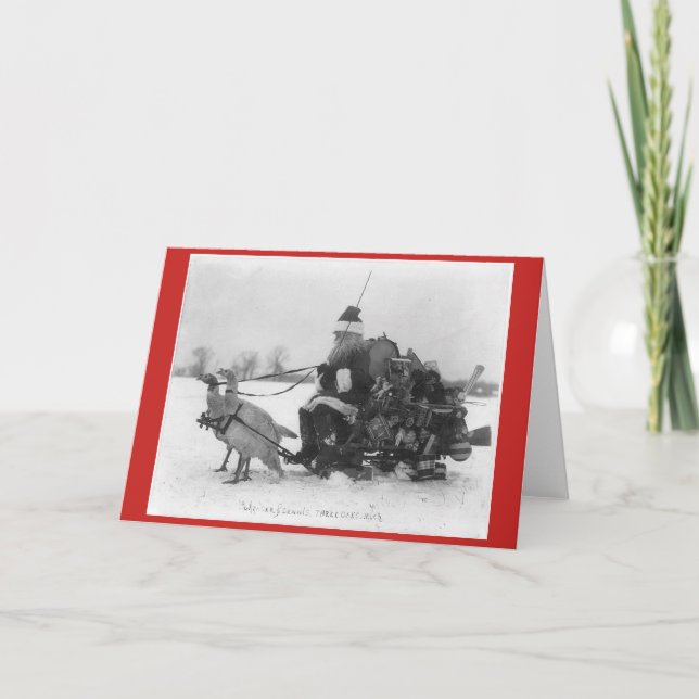 Santa Claus with sled drawn turkeys Cards (Front)
