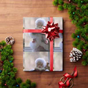 Santa Clause Reading Gift Wrap