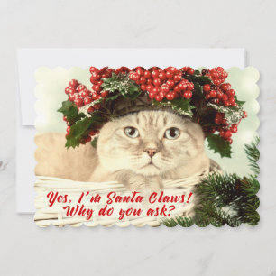 Santa "Claws" Christmas Cat Two Sided  Card