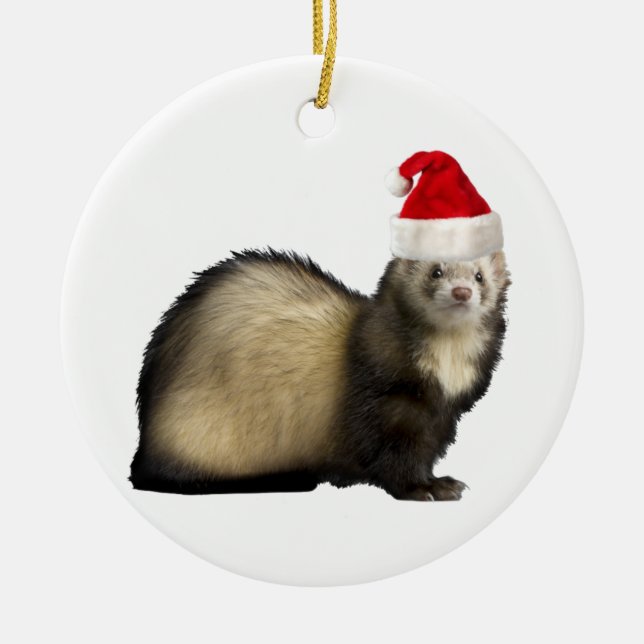 Santa Claws Ferret ornament (Front)