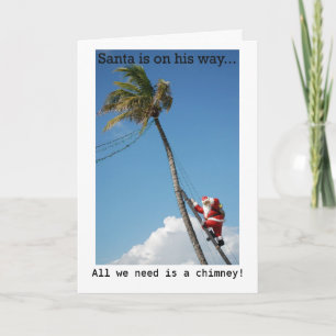 Santa Climbing Palm Tree Holiday Card