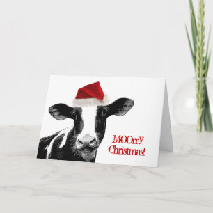 Santa Cow - Dairy Cow wearing Santa Hat Holiday Card