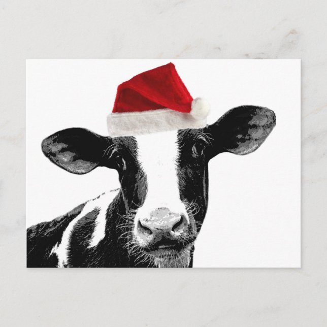 Santa Cow - Dairy Cow wearing Santa Hat Holiday Postcard (Front)