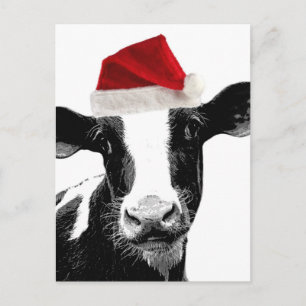 Santa Cow - Dairy Cow wearing Santa Hat Holiday Postcard