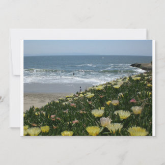 Santa Cruz beaches