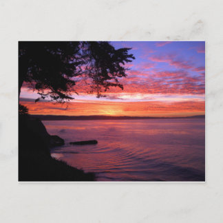 Santa Cruz, CA. Sunrise Postcard