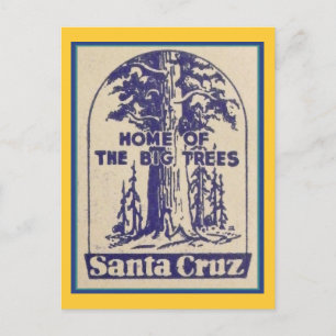 Santa Cruz California - Home of the Big Trees Postcard