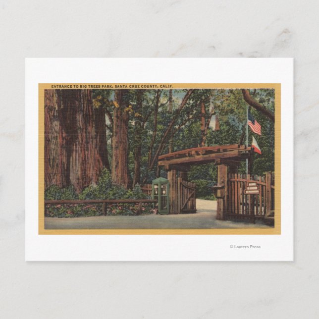 Santa Cruz County, CA Entrance to Big Trees Park Postcard (Front)