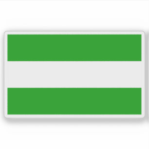 Santa Cruz de los Motilones de Tarapoto flag, Peru