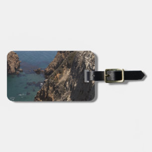 Santa Cruz Island Series 4 Luggage Tag