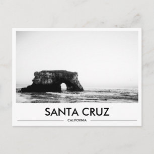 Santa Cruz Natural Bridges Arch Rock UCSC Gift Postcard