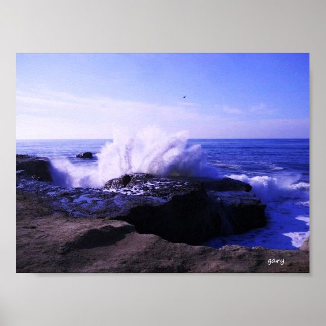 Santa Cruz Seashore Poster (Front)