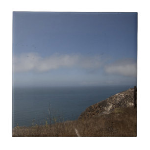 Santa Cruz Series 2 Ceramic Tile