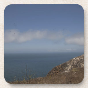 Santa Cruz Series 2 Coaster
