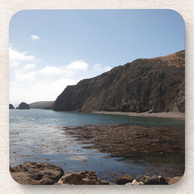 Santa Cruz Series 9 Coaster (Front)