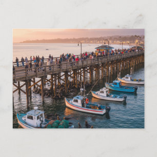  Santa Cruz Wharf California Postcard