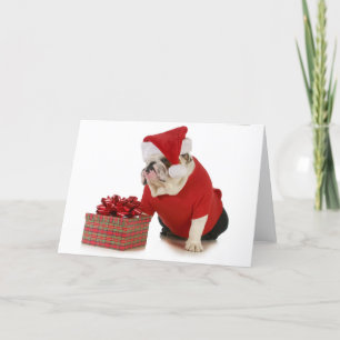 Santa Dog - English Bulldog Dressed Like Santa Holiday Card