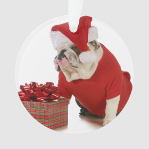 Santa Dog - English Bulldog Dressed Like Santa Ornament