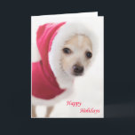 Santa Dog Holiday Card<br><div class="desc">This little dog is all dressed up in a Santa suit to wish a happy holiday to all.  Blank inside.</div>