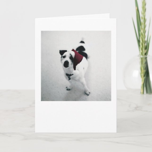 Santa Dog Holiday Card (Front)