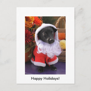 Santa Dog - Holiday Postcard