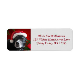Santa Dog-Lab/Rott Mix with Pointsettia Return Address Label