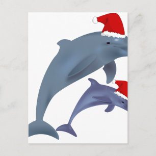santa dolphins holiday postcard