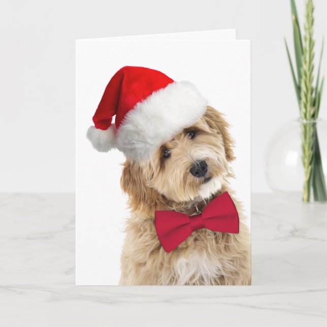 Santa Doodle Dog Card (Front)