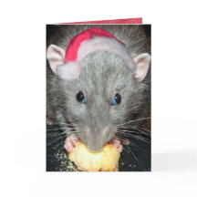 Santa Dumbo rat card
