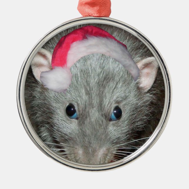 Santa Dumbo rat Christmas Metal Ornament (Front)