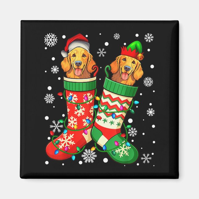 Santa Elf Golden Retriever Dog In Christmas Socks  Magnet (Front)