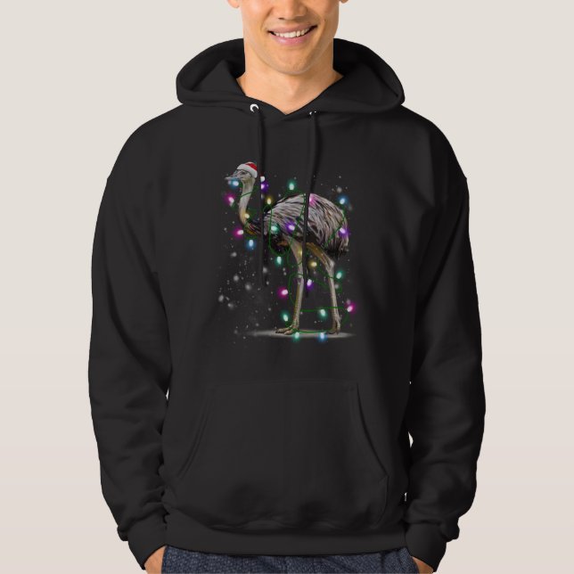 Santa Emu Bird with Christmas lights Gift Funny Xm Hoodie (Front)