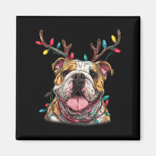 Santa English Bulldog Reindeer Light Christmas  Magnet