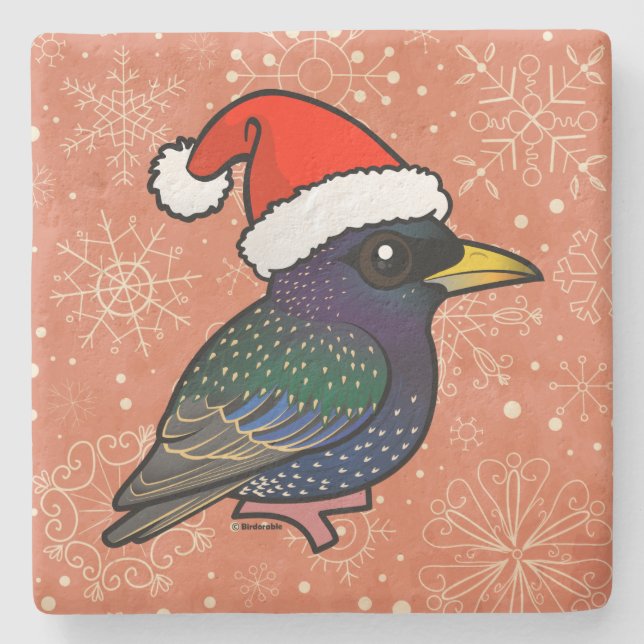 Santa European Starling Stone Coaster (Front)