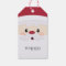 Santa Face Fun Personalised Gift Tag