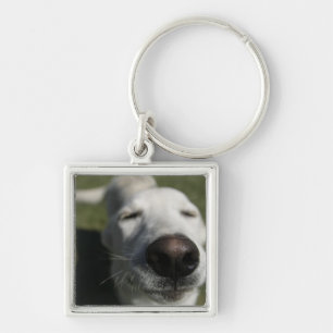 Santa Fe, New Mexico Key Ring