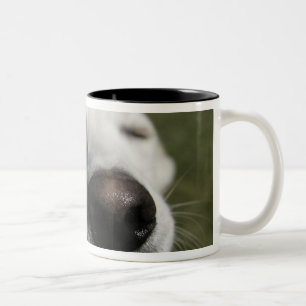 Santa Fe, New Mexico Two-Tone Coffee Mug
