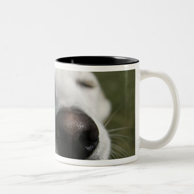 Santa Fe, New Mexico Two-Tone Coffee Mug (Right)