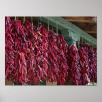 Santa Fe Red Chilli Ristras New Mexico Poster