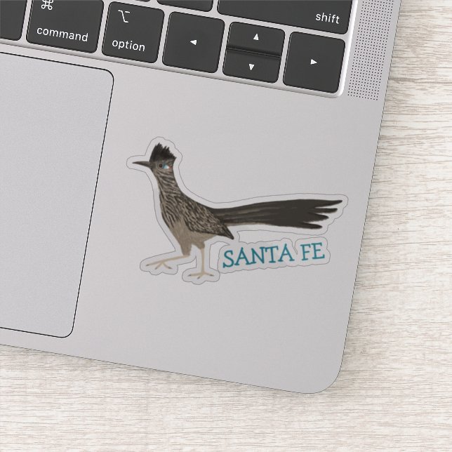 SANTA FE Roadrunner Bird Coloured Pencil Art (Detail)
