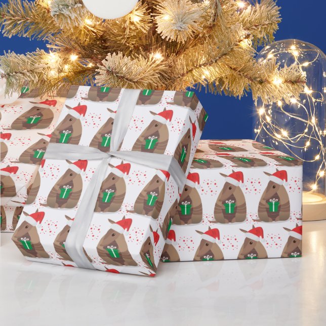 Santa Gift Giving Armadillo Texas Wrapping Paper (Holidays)