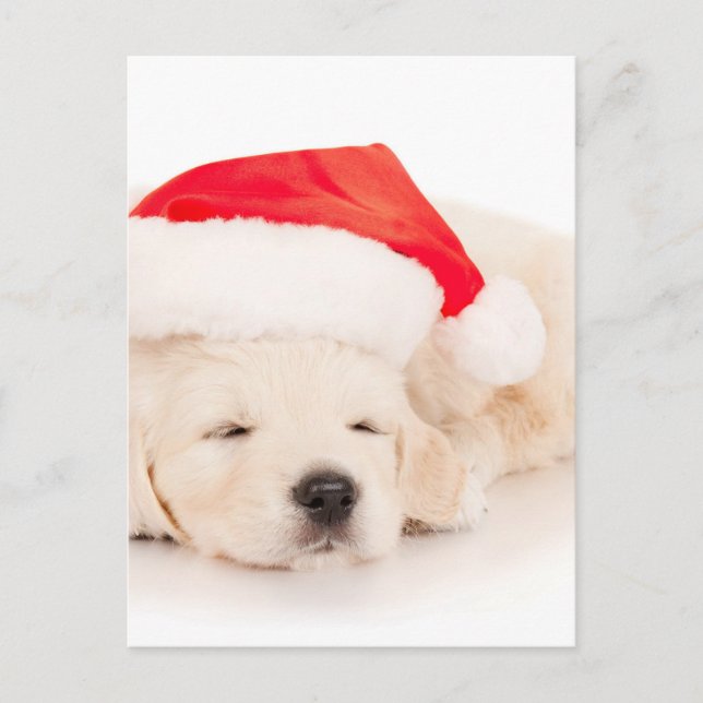Santa Golden Retriever Puppy Holiday Postcard (Front)