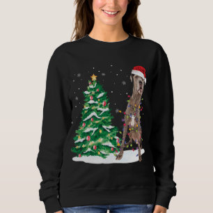 Santa Great Dane Dog Christmas Tree Light Funny Xm Sweatshirt