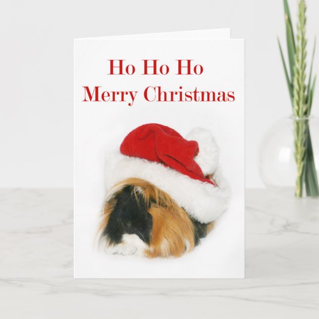 Santa Guinea Pig Holiday Card (Front)