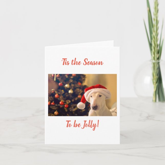 Santa Hat Bull Terrier, Tis the Season  Card (Front)