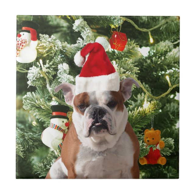 Santa Hat Bulldog Christmas Tree Snowman Gift Box Ceramic Tile (Front)