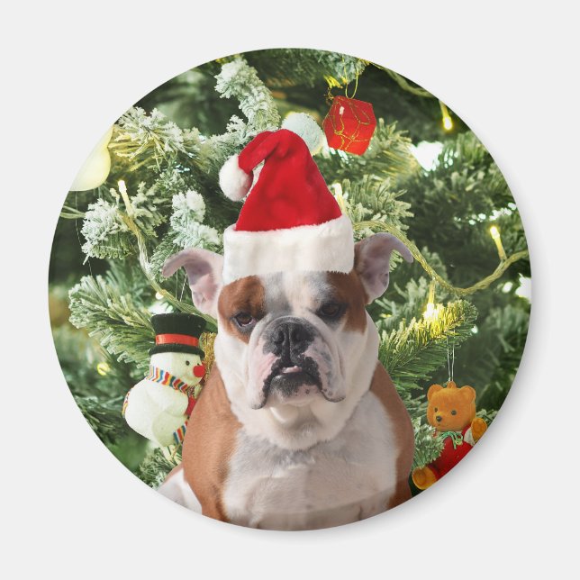 Santa Hat Bulldog Christmas Tree Snowman Gift Box Magnet (Front)